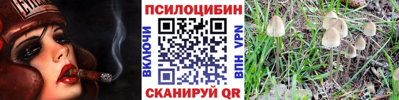 закладка  Тольятти  Галлюциногенные грибы мухоморы 