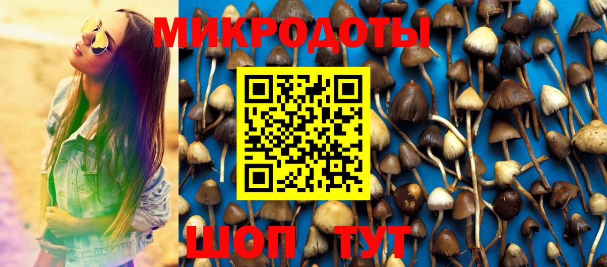 Галлюциногенные грибы GOLDEN TEACHER Тольятти
