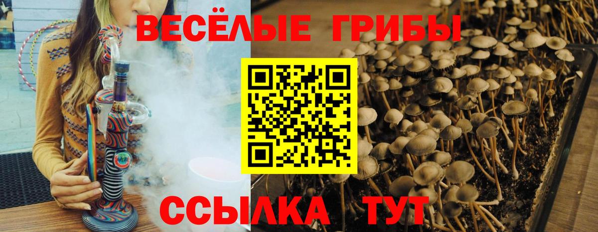 что такое   Псилоцибиновые грибы Magic Shrooms  Вход с VPN  Тольятти 