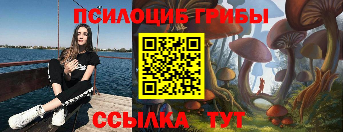 Псилоцибиновые грибы Cubensis Тольятти